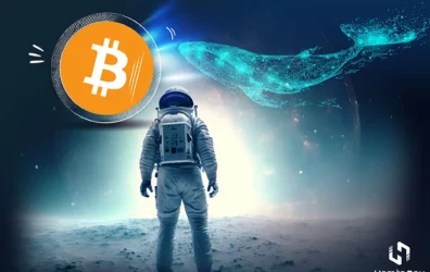 یک نهنگ بیت کوین بیش از 800 میلیون دلار بیت کوین را از کیف پولهای غیرفعال خارج کرد! | همتاپی