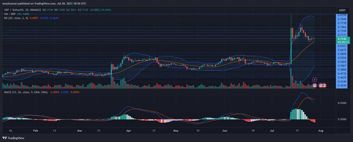 نمودار روزانه ریپل همراه با شاخص MACD | همتاپی