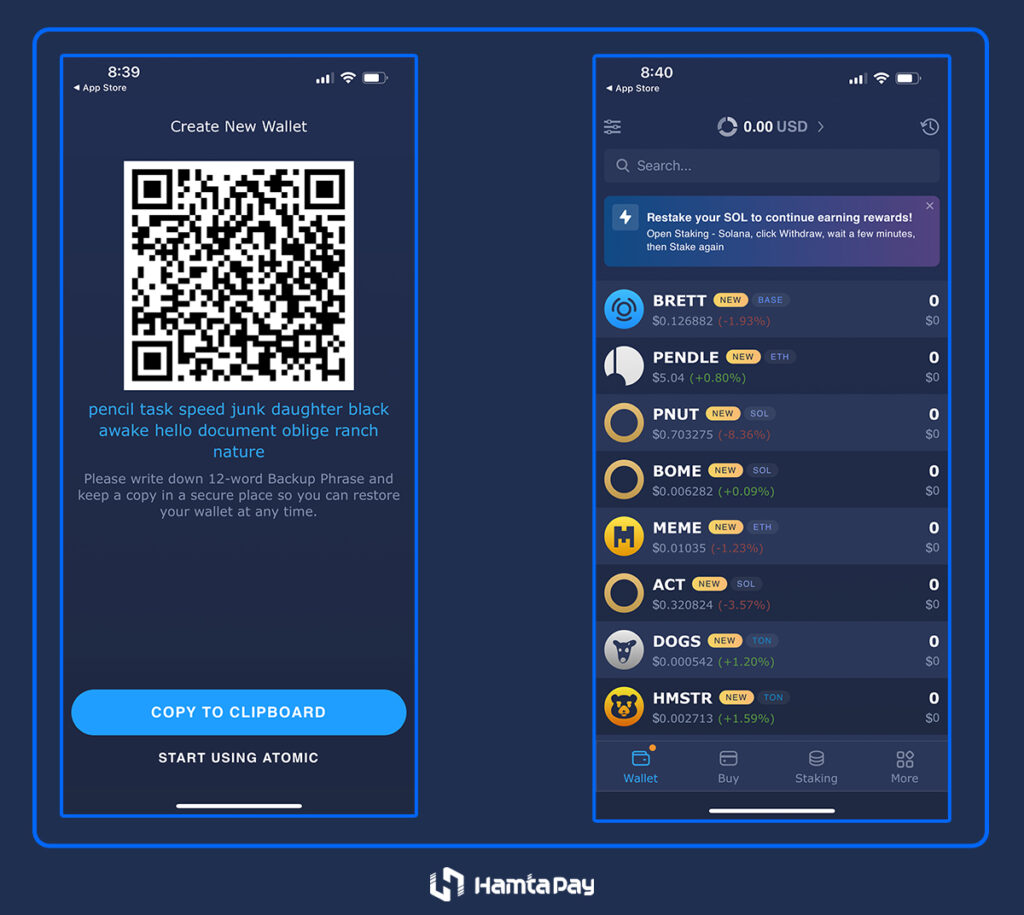 کیف پول اتمیک (Atomic Wallet) چیست؟ | همتاپی